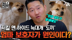 ＂당신이 있을 때랑 없을 때랑 180도 달라＂ 엄마 보호자가 원인이다? 지킬앤하이드 늑대 \