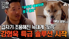 ＂악플 달았는데 현실에서 만난 느낌ㅎ?＂ 보호자가 없으니 강형욱 앞에서 세상 얌전한 늑대개!?