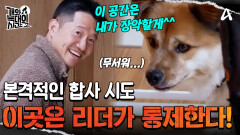 강 훈련사만 오면 \