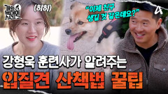＂끌려다니지 마세요＂ 강형욱 훈련사가 알려주는 입질견 산책법 꿀팁!