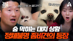 [예고] 손발을 내어주지 마라!? 물리기 전에 피해야 한다! 천사의 얼굴을 가진 좀비(?) 늑대