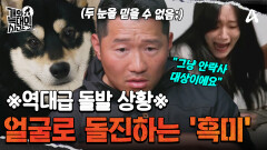 ※촬영 중단※ 보호자 동생 응급실행! 트리거 없이 얼굴을 물어버리는 역대급 돌발 상황 발생;