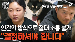 ＂보호자님 결정하셔야 해요＂ 인간의 방식으로는 절대 소통 불가 '흑미'! 이렇게 키울 수 없다..?!