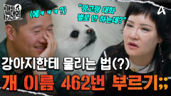 엄마가 없으면 편히 쉰다?! 하루에 '망고' 이름만 462번 부르는 보호자