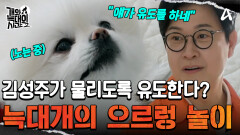 김성주가 물리도록 일부러 유도하는 '망고'! 늑대개가 즐기는 으르렁 놀이(?)