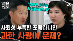 사회성이 떨어지는 견종 포메라니안! 애정과 관심을 줄여야 사회성이 생긴다?! 