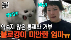 ＂속상하라고 블로킹하는 겁니다＂ 강 훈련사의 좀비견 길들이기 제1원칙?!