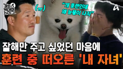 ＂개 훈련인데 왜 자식 생각이 나죠?＂ '망고'를 훈련하기가 힘든 엄마 보호자