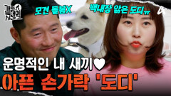 운명적으로 만난 '내 새끼' 백내장을 앓은 우리 '도디'