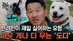 ＂그냥 도디 같은 개는 안 만나는 게 좋아요＂ 타견까지 무는 늑대개 \