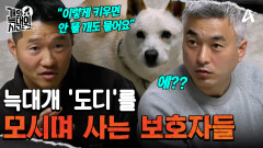 ＂이렇게 키우면 안 물 개도 물어요＂ 늑대개 \