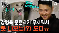 강 훈련사가 무서워서 못 나오는 \