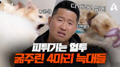 [예고] 문제는 이제 시작이다! 미숙한 케어로 굶주린 4마리 늑대들의 피튀기는 혈투