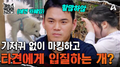 타견에게 입질하는 \