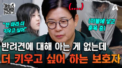 ＂한 마리 더 데려와도 돼?＂ 내 개한테는 \