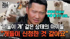 ＂떠돌이 개 같아요＂ 여전히 집에서 악취가 심하고 반려견을 보호하지 못하는 보호자들?!