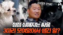 [예고] 단 한 순간도 방심할 수 없다! 끈질기게 따라 붙는 검은 그림자