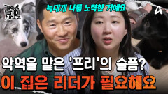 ＂이 집은 리더가 필요해요＂ 악역을 맡은 '프리'의 슬픔?