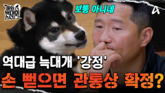 '강정' 앞에선 자동 열중쉬어!? 손 뻗으면 관통상 타깃 확정;;