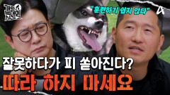 ＂피 쏟아져요＂ 훈련 좀 할 줄 아는 '군견병' 아빠! 강 훈련사의 걱정은?