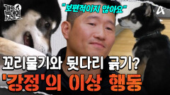 ＂이건 뭔 자세야?＂ 꼬리물기에 이은 뒷다리 긁기? '강정'의 이상 행동