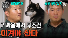 ＂바로 이때 잘해야 돼요＂ '강정'과의 신경전에서 이기는 법 전수하는 강 훈련사