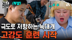 ＂너 이렇게 욕하며 살았구나?＂ 비위를 맞추지 않는 강 훈련사에 극도로 저항하는 '강정'