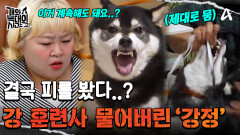 결국 피 봤다.. 역대급 성질머리 늑대개 '강정';; 출혈 투혼 하는 강 훈련사ㅠ