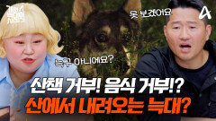[예고] 늑대를 위해 1억 플렉스!? 어둑한 밤 6년간 산을 지켜온 수호신 늑대?!