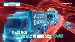 마실 수 있는 알부민으로 활력 되찾기 성공! 면역력과 혈관 건강에도 도움을?