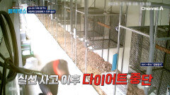 무리한 다이어트가 부른 비극, 앵무새 농장 실신 사건의 전말