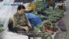 ＂수술하면 다 나을 줄 알았는데...＂ 평생 채소 장사하던 할머니의 눈물겨운 재활 잔혹사