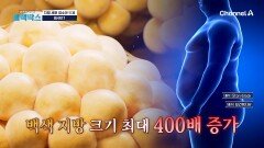 최대 400배 증가?! 내장 지방으로 쌓인 백색 지방 크기를 줄이는게 중요!