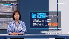 혈당 관리에 도움을 주는 생존의 단서, '유기농 야생 빌베리'의 모든 것