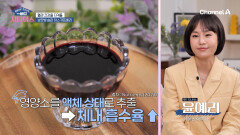 혈관 회춘 샷! 하스카프베리를 '즙'으로 마셔야 하는 이유