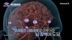내 몸의 시간을 되돌리는 열쇠, 하스카프베리 속 'C3G'