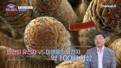 장과 뇌가 대화를 한다? 음식물 소화 및 배설 외 다양한 역할을 하는 장