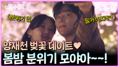 이한이주 양재천 벚꽃 데이트! 봄밤 분위기 미쳤다