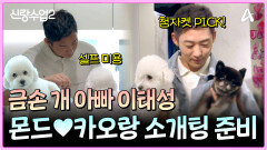 금손 개 아빠 이태성! 두근두근 강아지와 함께 소개팅 하는 날!?