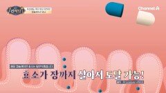 강력한 위산을 넘어 장까지 도달한다?! 소화 돕는 \
