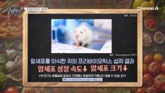 암세포 억제에 도움을 주는 프리바이오틱스?! 꾸준한 섭취로 면역력을 기르자!