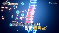 안전성이 입증된 천연 소염진통제 \