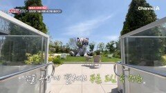 빌딩 숲 한복판에서 자연이 살아 숨 쉰다?! 문화와 예술이 함께 즐길 수 있는 힐링 공간