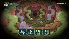 소화가 안 되면 살이 더 찐다? 소화 불량으로 인한 독소로 살이 잘찌는 체질로 변화한다!?