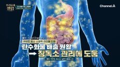 안먹으면 오히려 독? 체중 관리를 위해 탄수화물 섭취와 배출이 가장 중요!