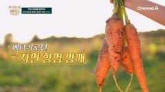 만성 염증을 관리해 연쇄 질환의 고리를 끊는데 도움을 주는 천연 항염 방패 '당근 착즙 주스'