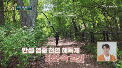 노인성 염증 질환 극복 1% 비밀은? 만성 염증 천연 해독제 '자연 속 걷기'
