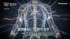 뇌 속 활력 스위치 ON! 중년들의 체력을 책임지는 양태반은 무엇?!