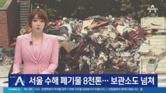 서울 수해 폐기물 8천 톤…보관소도 포화 상태