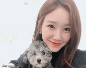 장예인 아나운서, 가수 강민경과 닮은꼴 외모